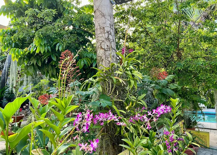Orchid Cottage